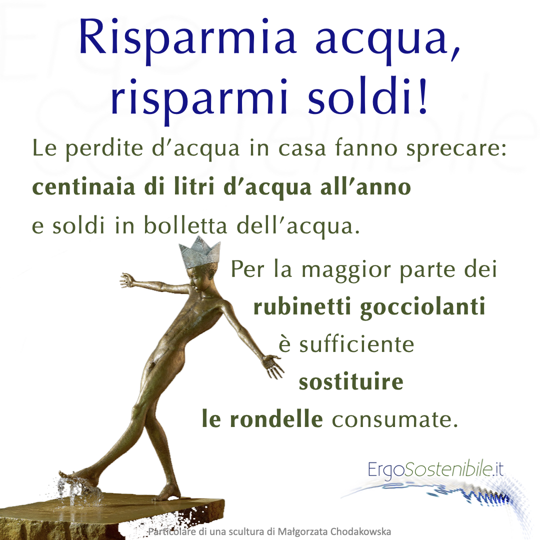 Risparmia acqua, risparmia soldi