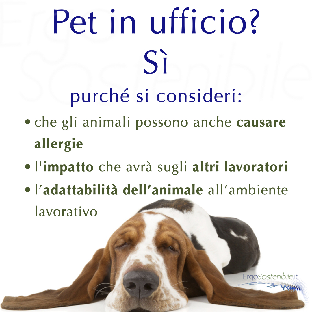 pet e ufficio