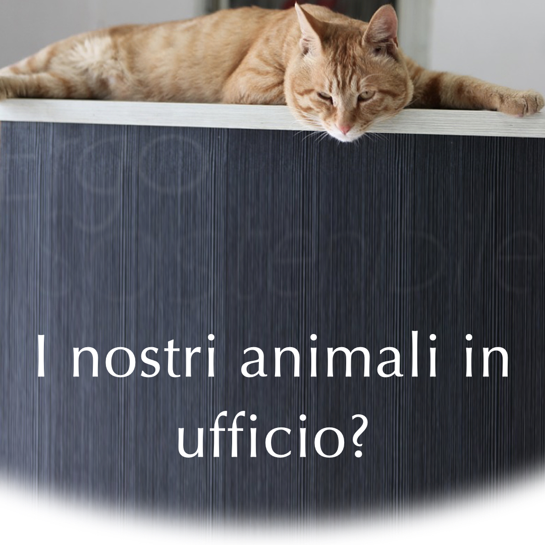 possiamo portare i nostri amici animali in ufficio?