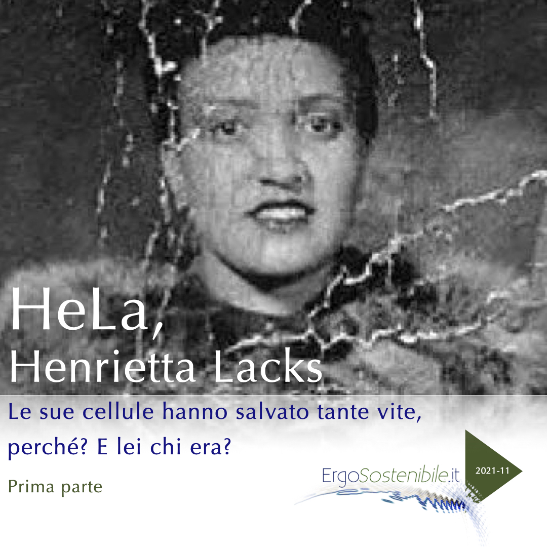 prima slide HeLa, Henrietta Lacks, chi era?