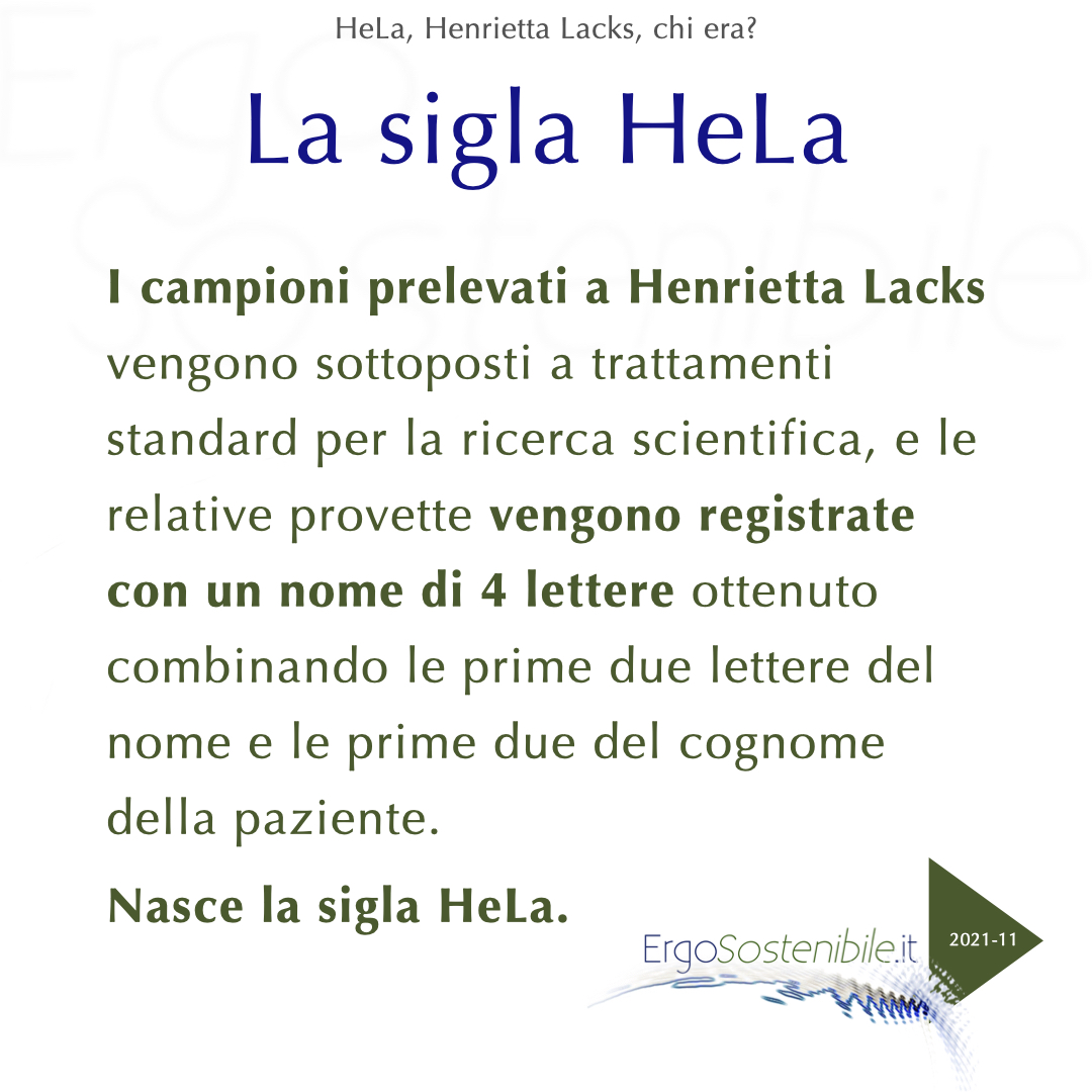 quarta slide HeLa, Henrietta Lacks, chi era?