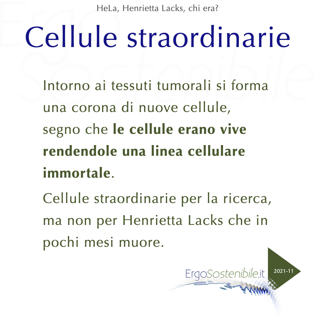 quinta slide HeLa, Henrietta Lacks, chi era?