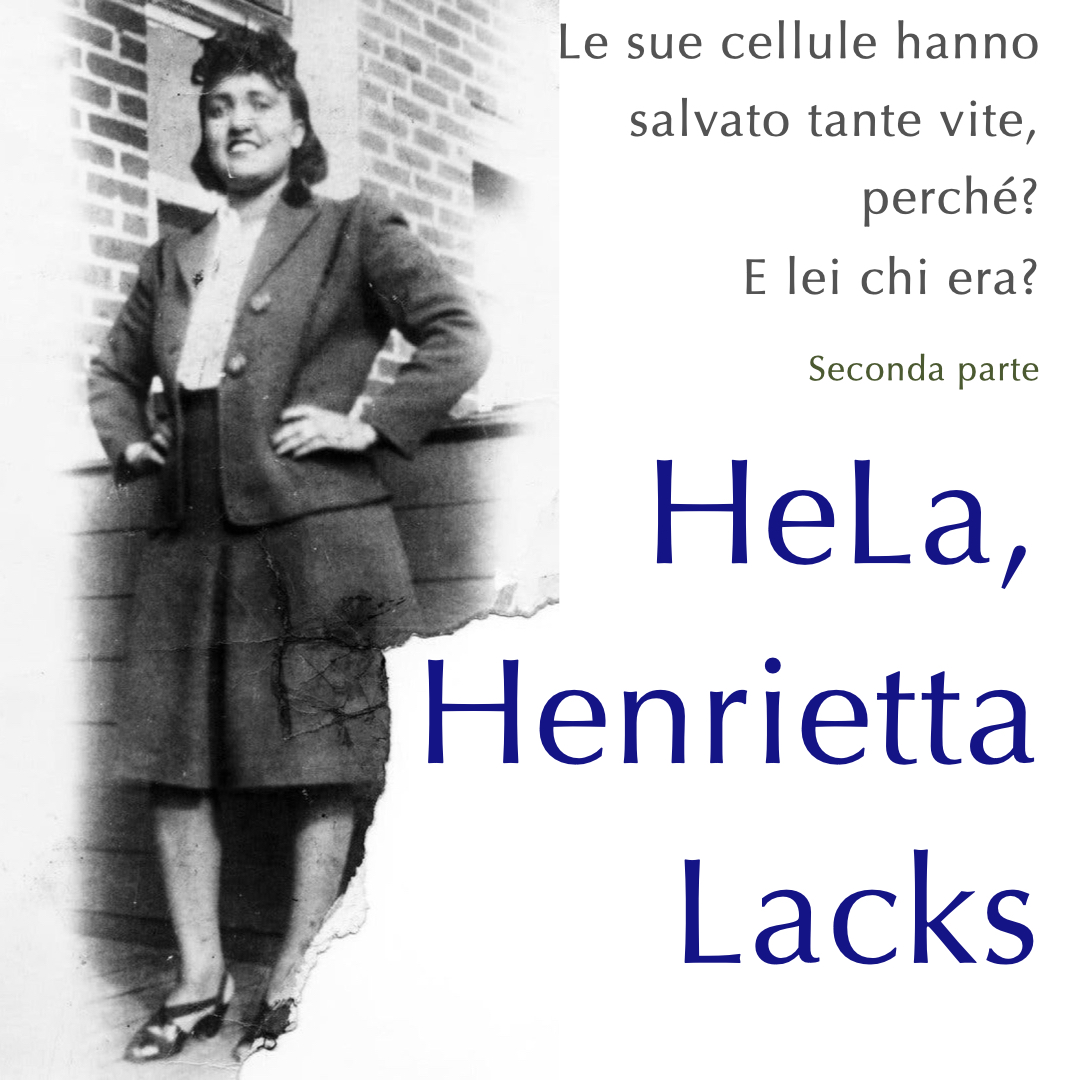 prima slide HeLa, Henrietta Lacks, chi era?